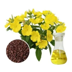 KZ.ULJE NOĆURKA 30ml