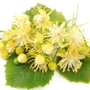 KZ. VODA/HIDROLAT CVIJETA LIPE 100ml