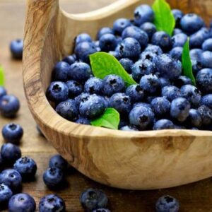 KZ. VODA/ HIDROLAT BOROVNICE 100 ml