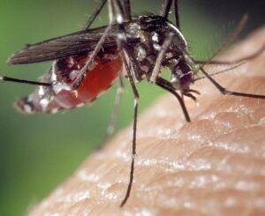 KZ.LOSION STIT.OD KOMARACA, MUHA  FAKI - spray 100ml