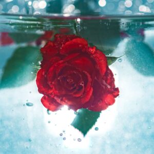 KZ.VODA RUZINA 100ml